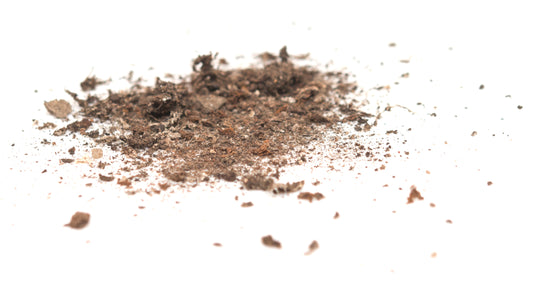 Keeping Your Wood Shop Safe and Clean