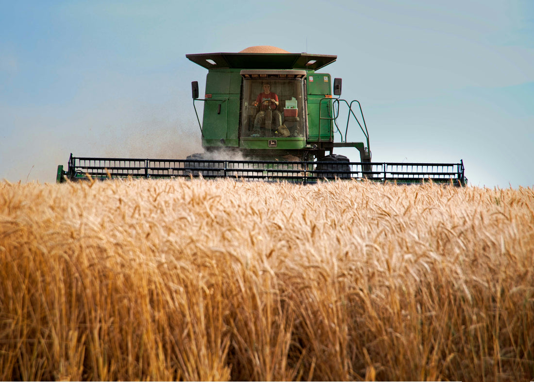 Air Filtration in Agriculture