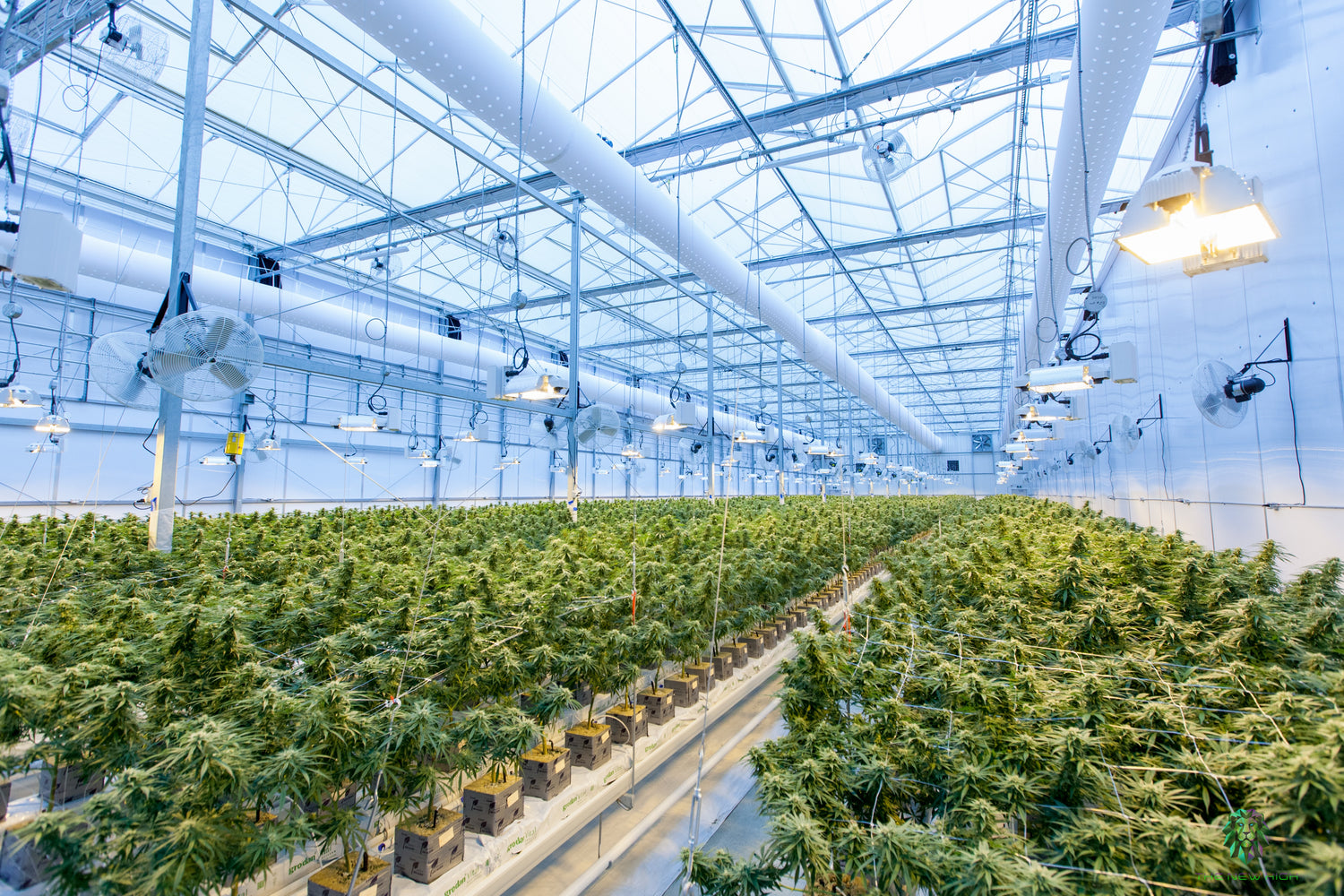 A large greenhouse with plants mentioned clean shop air.